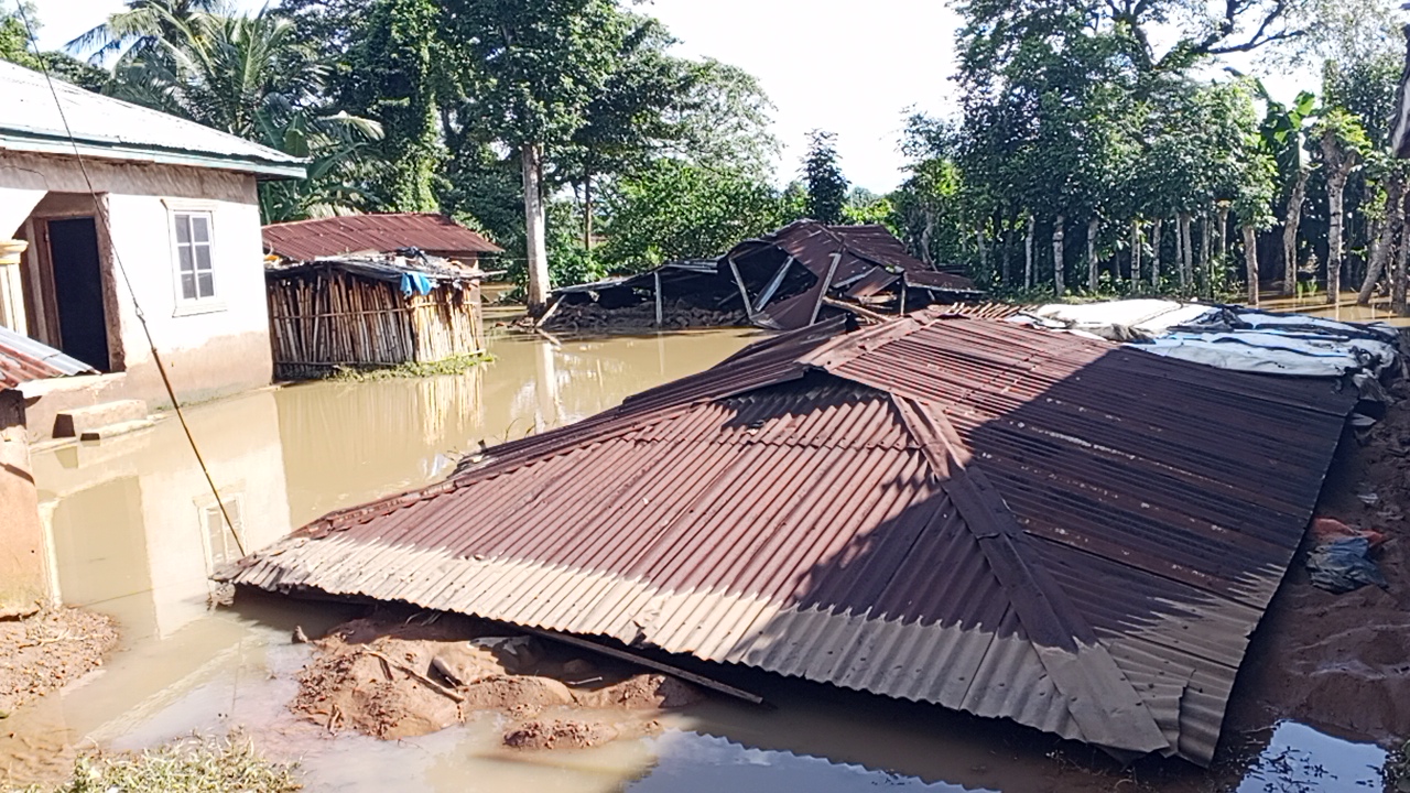 Flood