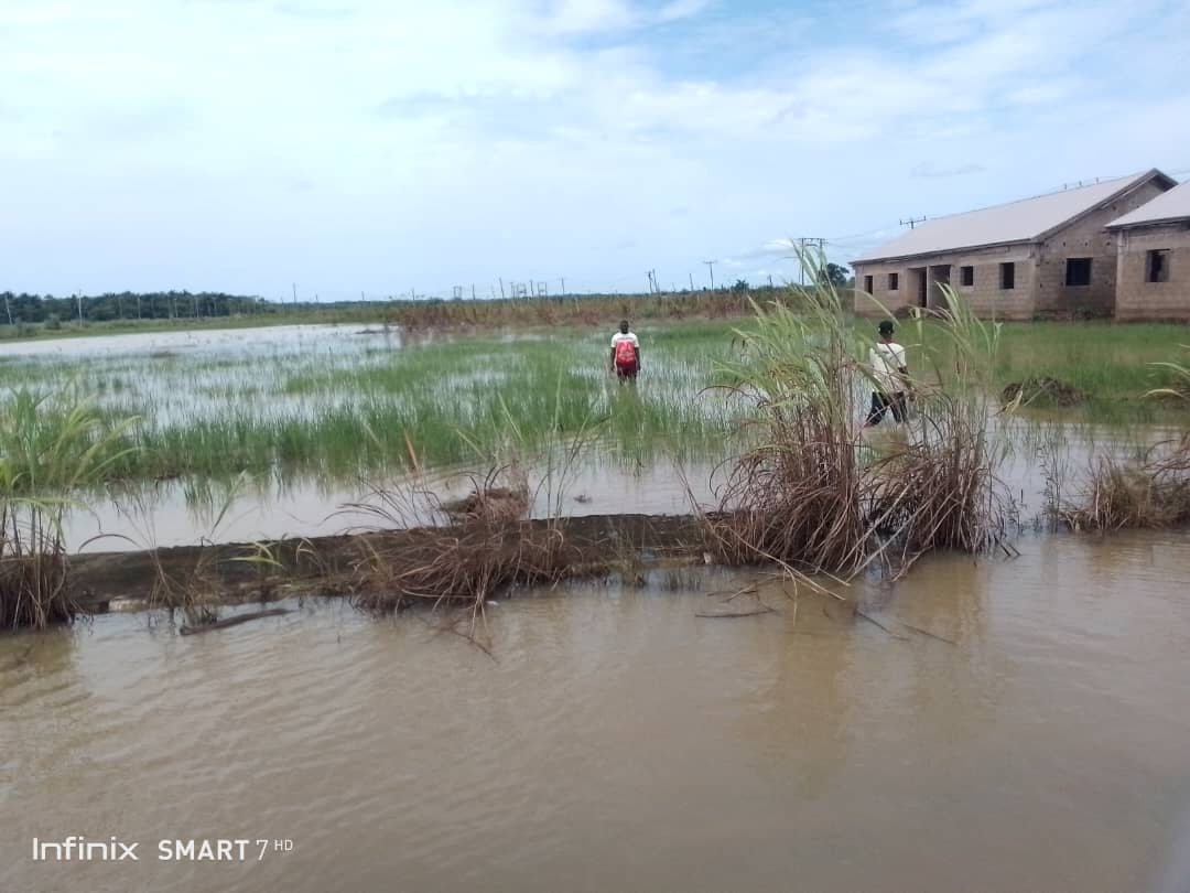 Farmland ravaged by the flood